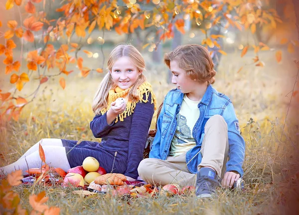 Kinderen in het herfst Park lopen en plezier hebben — Stockfoto