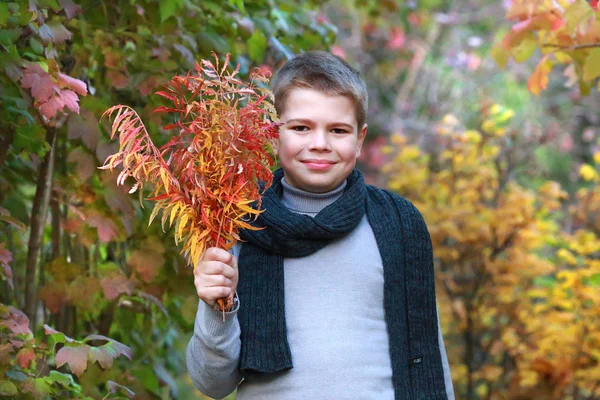 Jovem rapaz no parque de outono perto do lago — Fotografia de Stock