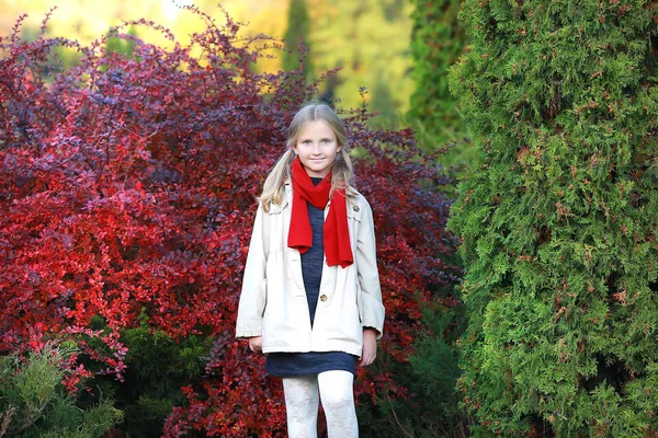 ブロンドの女の子は秋の公園を歩く — ストック写真
