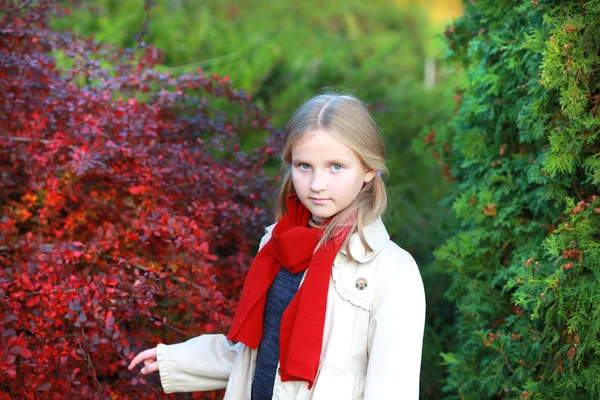 Chica rubia caminar en el otoño parque —  Fotos de Stock