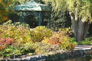 Güz bahçesinde, söğütlerin yanındaki ağaçtan bir çardak.