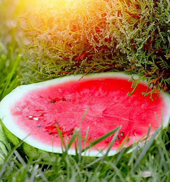 Melancia Cortada Longo Close Vermelho Suculento Maduro Bagas Verão Frutas — Fotografia de Stock