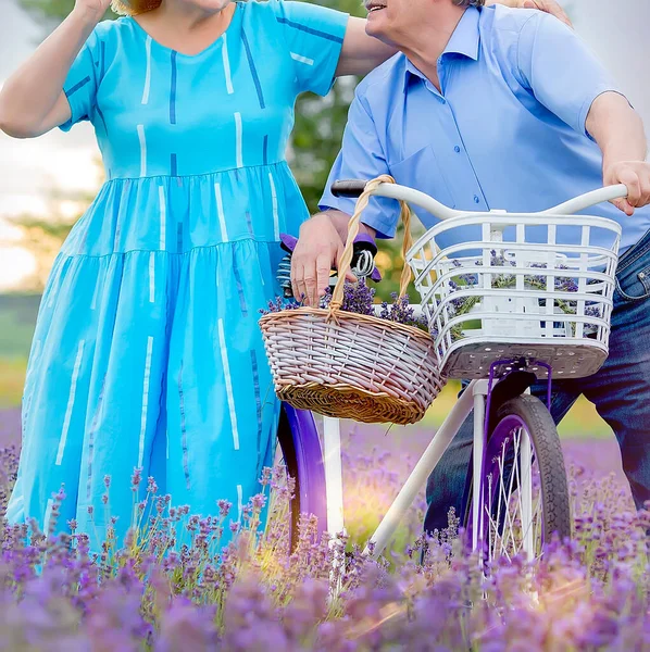 Grootvader Grootmoeder Een Lavendelveld Een Fietstocht Ontspannen Samen Oudere Lifestyle — Stockfoto