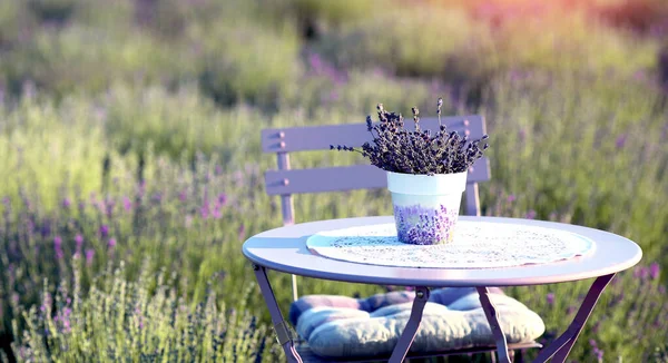 Furniture Folding Table Chairs Outdoor Recreation Blooming Lavender Field Vase — Stock Photo, Image