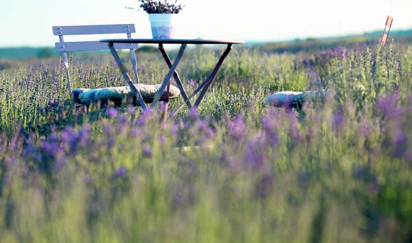 Klapptisch Und Stühle Für Die Freizeit Freien Einem Blühenden Lavendelfeld — Stockfoto