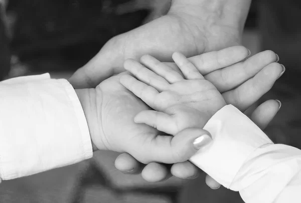 Black and white photo three palms close-up of a happy family with a little boy. Mom, dad and little son. Happy family concept. Family values