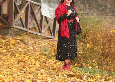 Sisli bir sonbahar gününde gölün kenarında kırmızı bir eşarp ve puantiyeli şık siyah elbisesi olan çekici olgun bir kadın. 40 yıl sonra bir kadının hayatı. Boşluğu kopyala