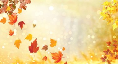 Sonbahar yapraklı pankart sarı ve kırmızı güzel doğa örtüsünü süslüyor. Geniş panorama biçimi. Bokeh ve sonbahar manzarasının ışıltısıyla çok güzel bir arka plan. Sonbahar konsepti