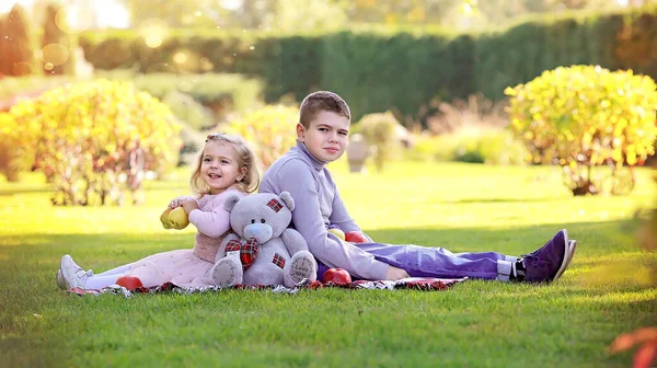 공원에 애들이 자매들과 장난감 데리고 풀밭에 있습니다 사과와 피닉이죠 어린이들의 — 스톡 사진