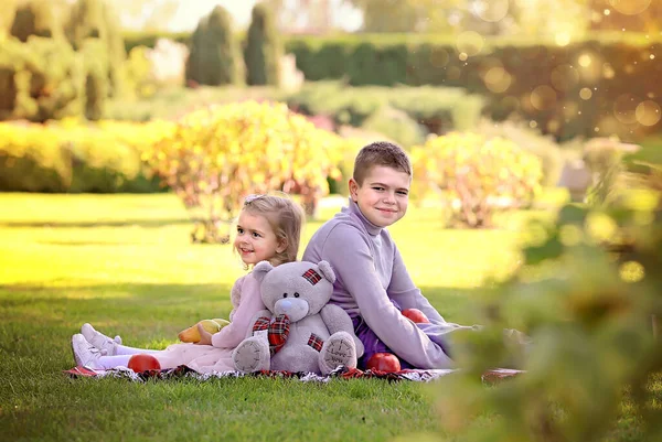 Niños Parque Hermano Hermana Pequeña Con Juguete Oso Gris Están —  Fotos de Stock