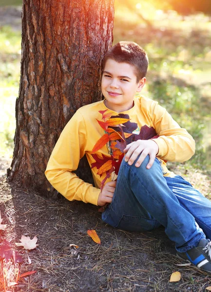 Ruhige Und Friedliche Teenager Die Herbstlichen Park Die Kamera Schauen — Stockfoto