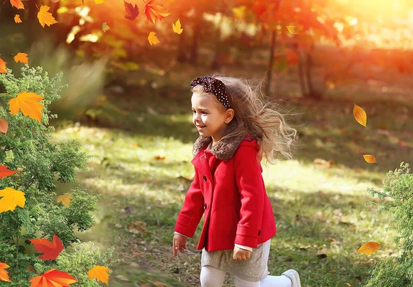 Retrato Macro Niño Feliz Con Hojas Otoño Parque Una Niña —  Fotos de Stock