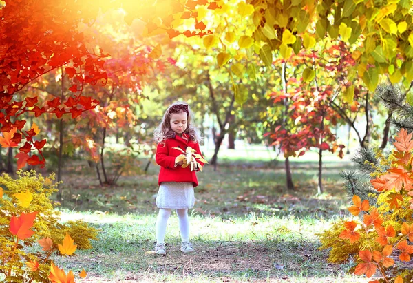 Retrato Macro Niño Feliz Con Hojas Otoño Parque Una Niña —  Fotos de Stock