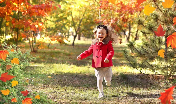 Portret Makro Szczęśliwego Dziecka Jesiennymi Liśćmi Parku Mała Dziewczynka Czarnej — Zdjęcie stockowe