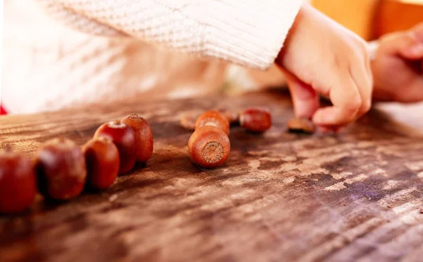 The child plays with the fruits of oak - brown acorns on a wooden table. Autumn gifts. Tree fruits. Copy space