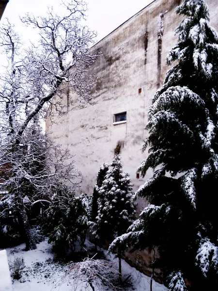 Vinter Væggen - Stock-foto