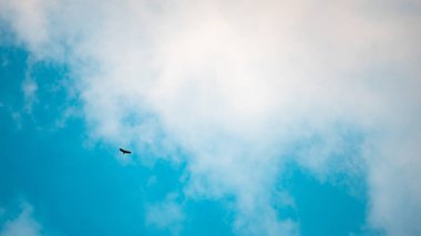 bulut ile gökyüzünde kuş