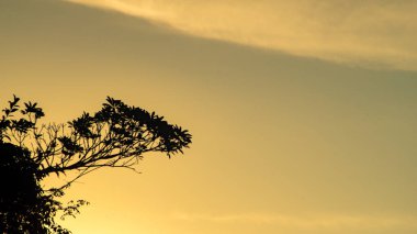 Birçok ağaç ile hızlandırılmış bulutlu gökyüzü