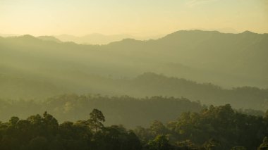 dağ ağaç günbatımı veya gündoğumu