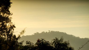dağ ağaç günbatımı veya gündoğumu