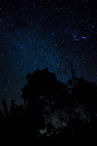 Muchas Estrellas Noche Para Fondo — Foto de Stock