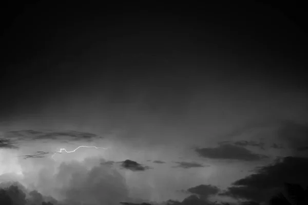 Black White Coconut Tree Cloud Sky — Stock Photo, Image