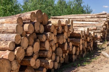deforestation, stacked logs  clipart