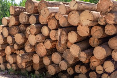 ormansızlaştırma, yığılmış günlükleri 