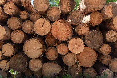 ormansızlaştırma, yığılmış günlükleri 