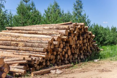 ormansızlaştırma, yığılmış günlükleri 