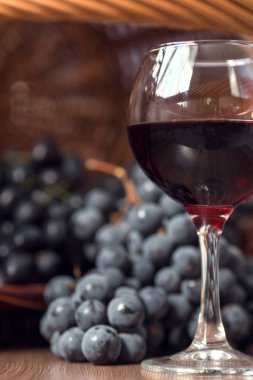 Bir bardak kokulu kırmızı şarap ve bir demet mavi üzüm.