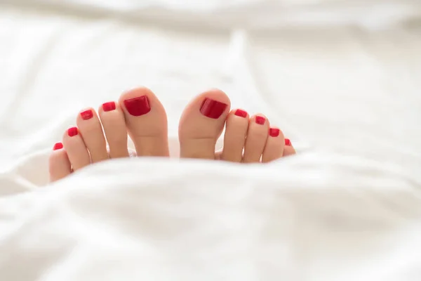 Dedos femeninos con pedicura roja en la cama de debajo de las cubiertas blancas Primer plano de los pies femeninos cubiertos con pedicura roja — Foto de Stock