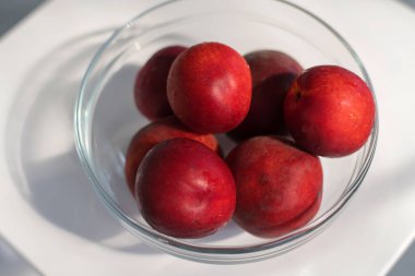 Olgun kırmızı erik şeftalisi, beyaz bir zemin üzerinde cam bir kapta şeftali rengi, gölgeli bir oyun.