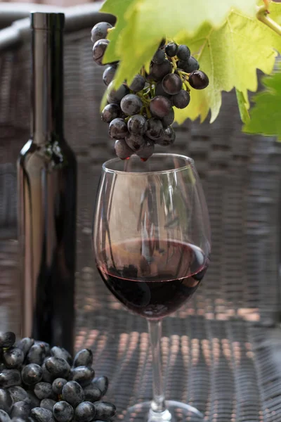 Copa y botella de vino tinto oscuro y uvas sobre un fondo oscuro — Foto de Stock