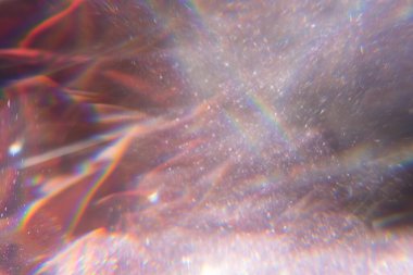 Altın rengi pembe pullar, parlak halılar. Yakın çekim, çok sığ alan derinliği, Macro.