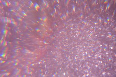 Altın rengi pembe pullar, parlak halılar. Yakın çekim, çok sığ alan derinliği, Macro.