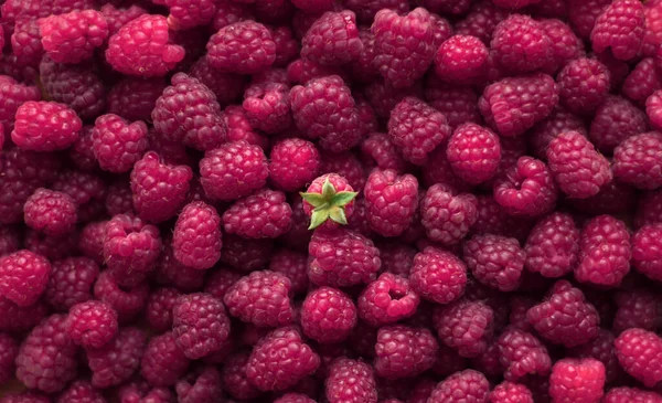 Mogna Hallon Närbild Makro Fotografi Selektivt Fokus Frukt Bakgrund — Stockfoto