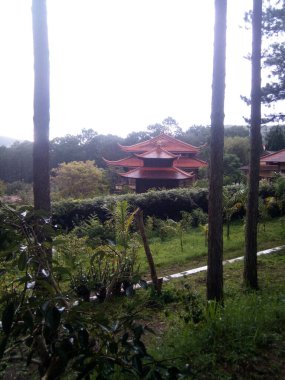 Sıvı elma hasadı. Rusya.