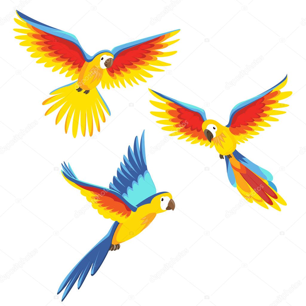 Cartoon parrots set vector illustration
