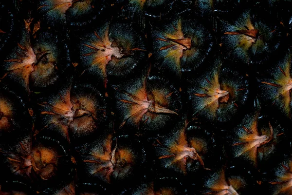 Makroaufnahme Der Ananasrinde Dunkler Farbton — Stockfoto