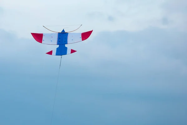 Kite Himlen Kvällen — Stockfoto