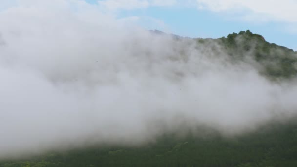 Nuvens Montanha Baixa Atitude Movimento Rápido Dia Chuvoso Tempestuoso — Vídeo de Stock