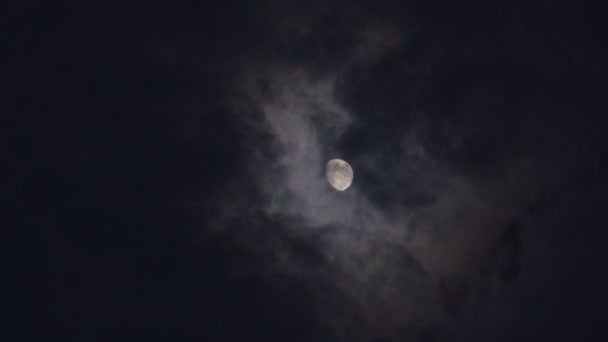 Luna Llena Medianoche Con Nubes Viento Rápido Moviéndose Delante — Vídeo de stock