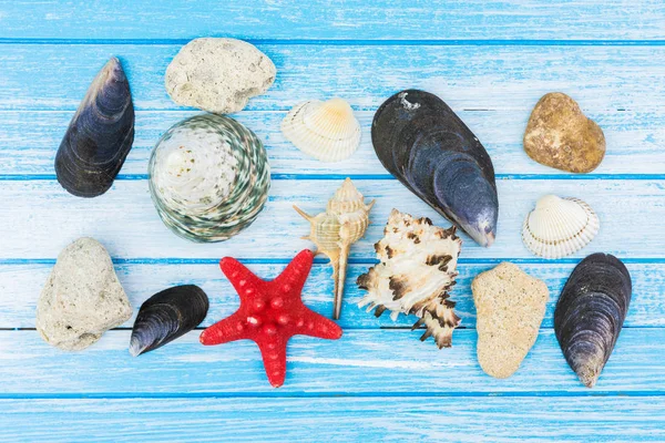 Sea Shells Decorations And Sea Star On Blue And White Painted  Wood Background High Contrast Summer Concept Top Angle