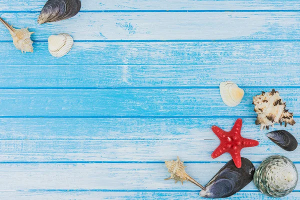 Sea Shells Decorations And Sea Star On Blue And White Painted  Wood Background High Contrast Summer Concept Top Angle