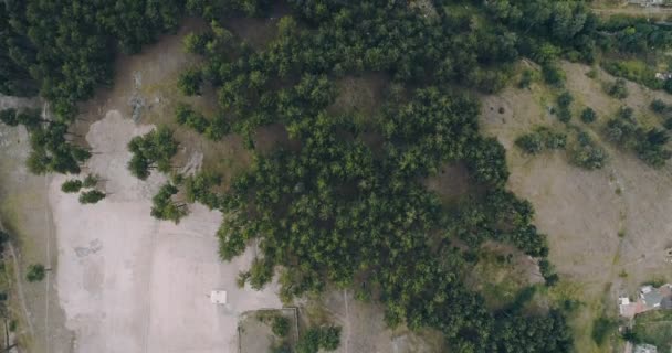 Luchtfoto Schot Met Langzame Beweging Dennenbos Naast Kleine Berg Herenhuizen — Stockvideo