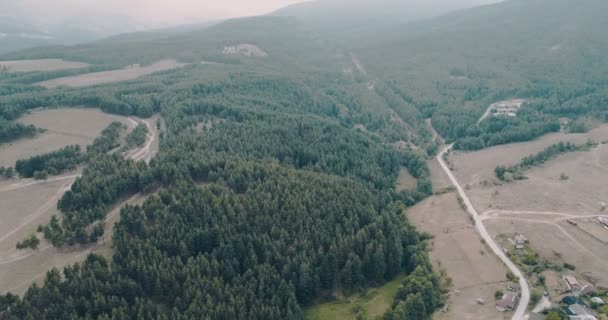 Luchtfoto Schot Met Langzame Beweging Dennenbos Naast Kleine Berg Herenhuizen — Stockvideo
