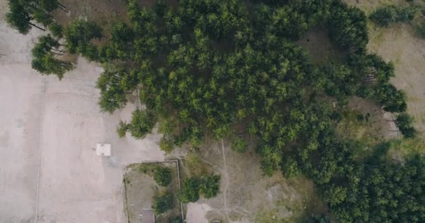 空中射击以缓慢的移动在松树森林旁边小山镇房子 — 图库视频影像