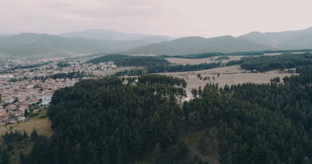 Luftaufnahme Mit Langsamer Bewegung Über Kiefernwald Neben Kleinen Berghäusern — Stockvideo