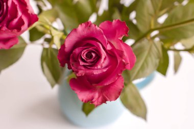 Mavi bir vazoda güzel bir buket gül..